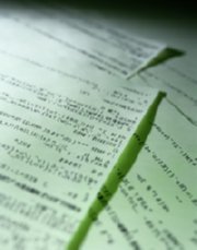 foto (217)  IMAGEN FOTOGRAFIA